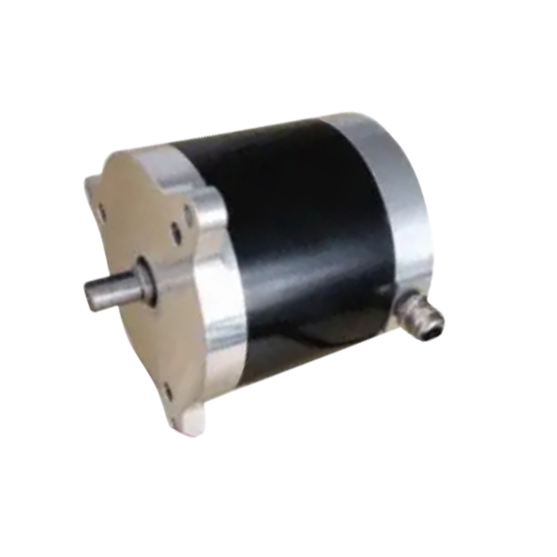 BL100 直径 100mm 電動フォークリフト モーター、24VDC 300W