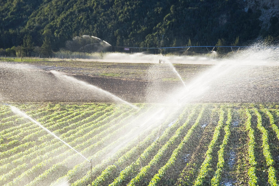 農業オートメーション